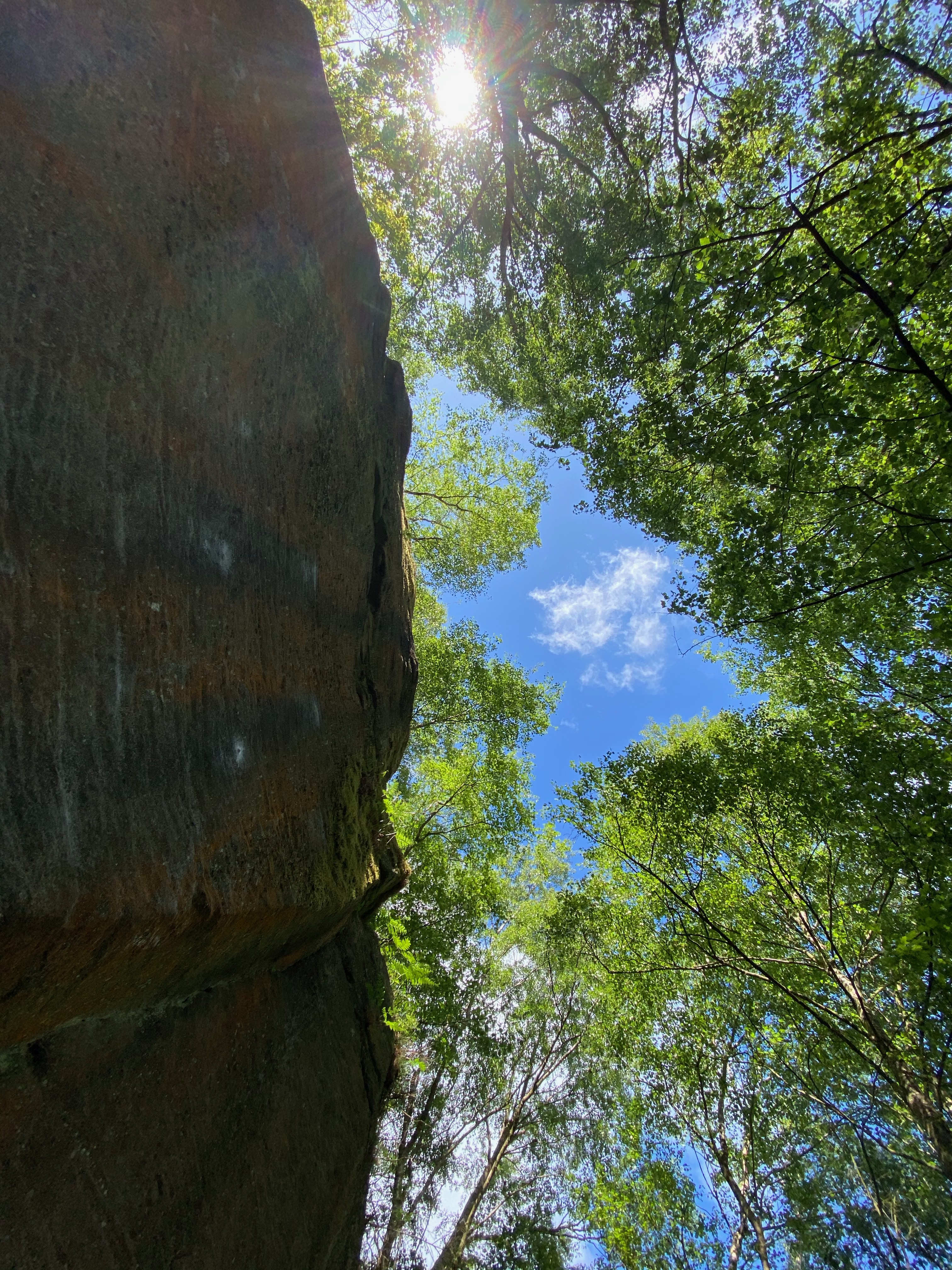 Looking up at sky with boulder